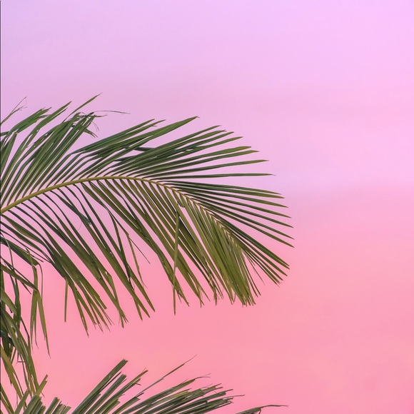 Hello! - Picture 1 of 1